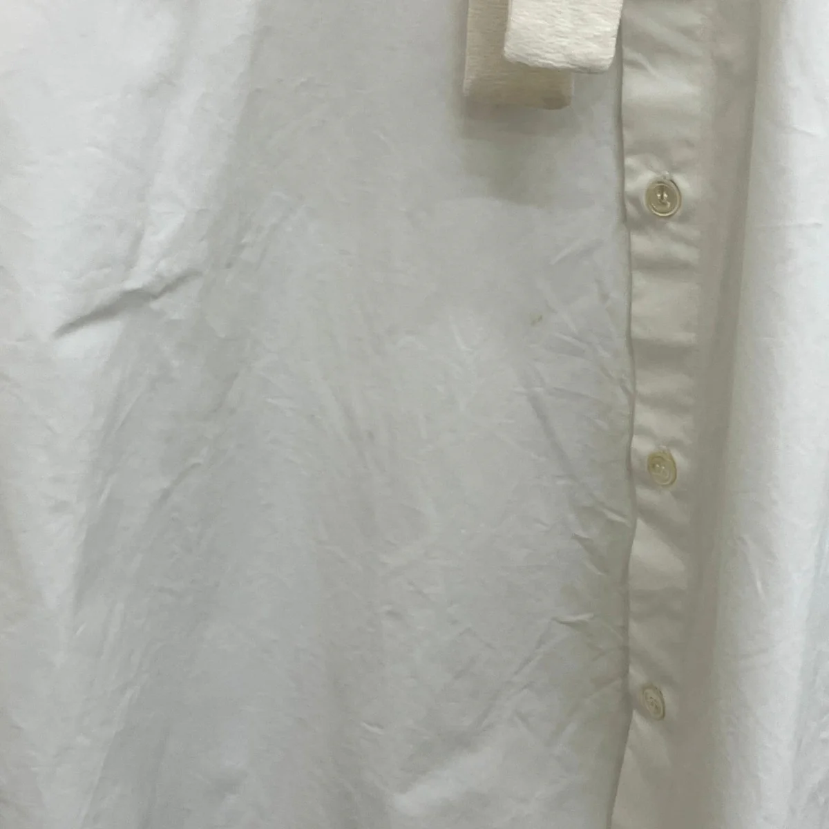 25AWボウタイブラウスCAMA0653QS - Image 5