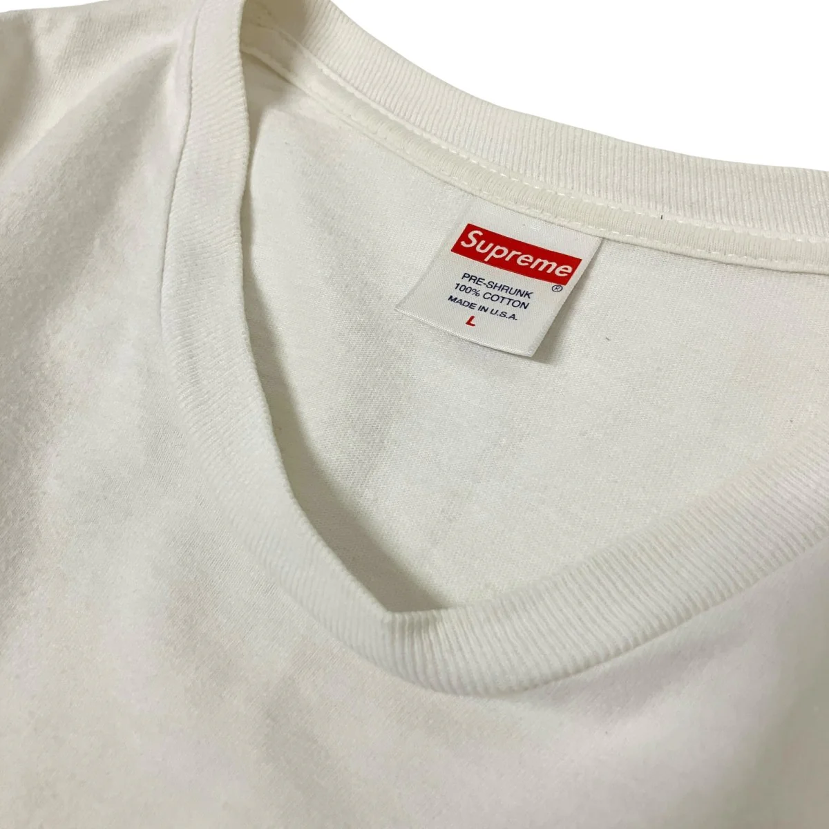 Dinosaur Tee半袖Tシャツ - Image 3