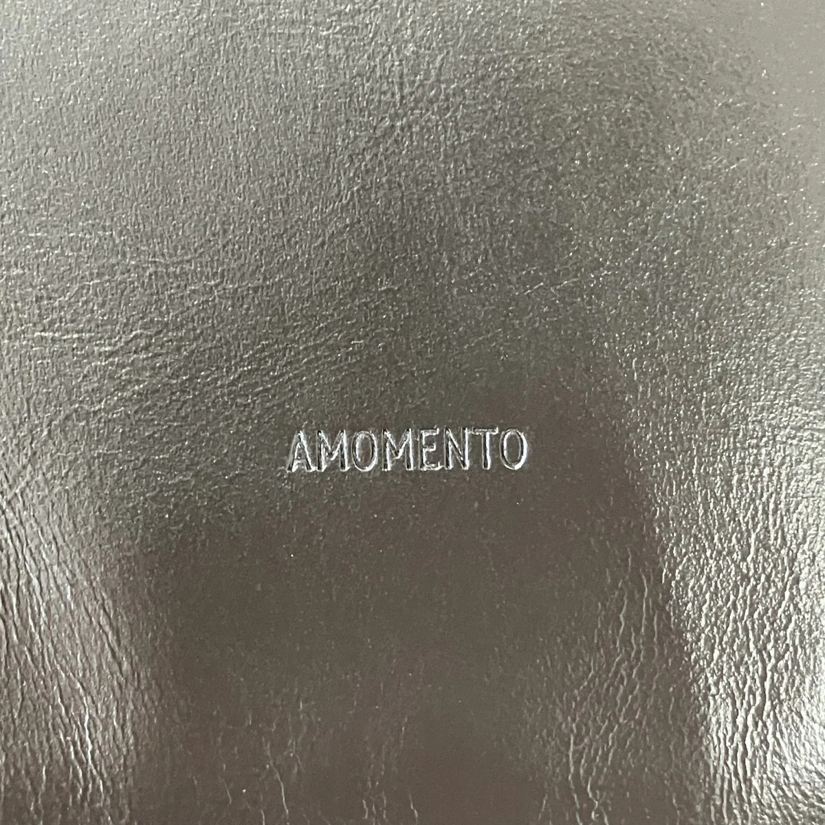 large slim leather bagレザーダブルバッグAM26SSW06BGDROS - Image 7