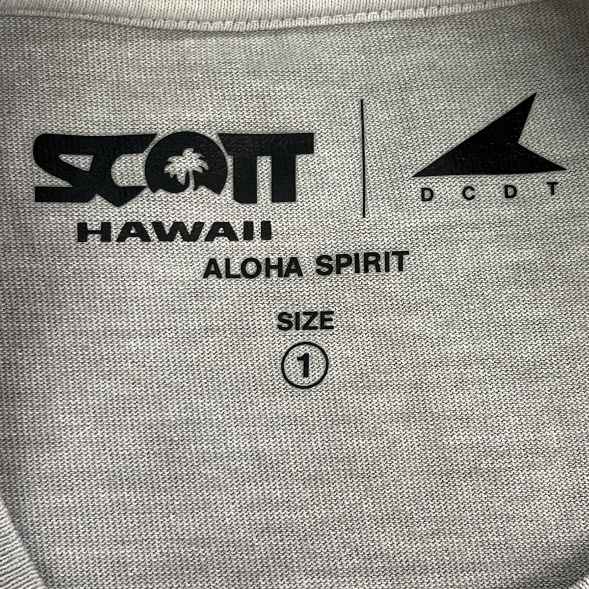 26SSEDST ピグメントダイ スコットハワイ ティープリントTシャツ - Image 7