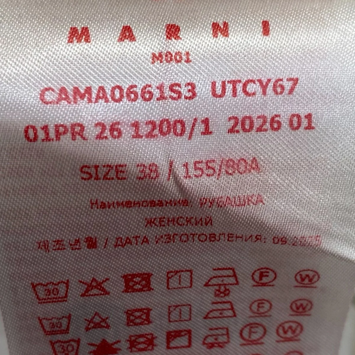 ブラウスCAMA0661S3 - Image 5